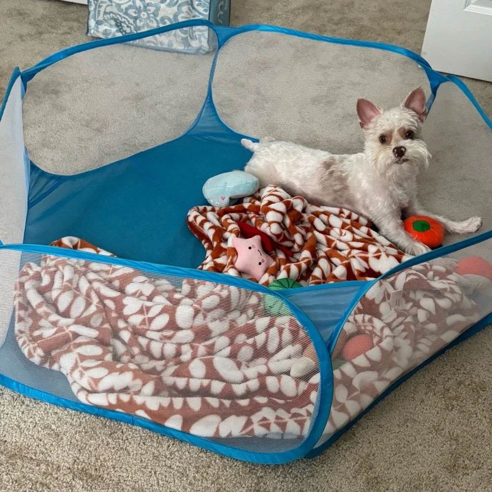 Foldable Pop-Up Playpen